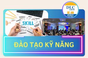 Đào Tạo Kỹ Năng